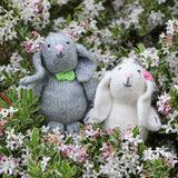 BUNNIES WITH PASTEL ACCESSORIES