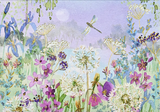BOXED NOTE CARDS DRAGONFLIES & DANDELIONS