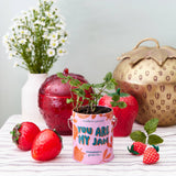 COLOR GROW KIT: YOU ARE MY JAM