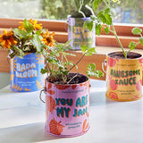 COLOR GROW KIT: BADA BLOOM SUNFLOWER