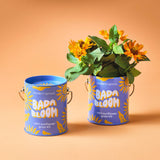 COLOR GROW KIT: YOU ARE MY JAM