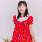 SMOCKED CAROUSEL BISHOP DRESS