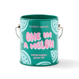 COLOR GROW KIT: YOU ARE MY JAM
