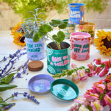 COLOR GROW KIT: BADA BLOOM SUNFLOWER