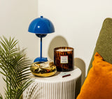 RED CURRANT TORTOISE CANDLE