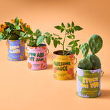 COLOR GROW KIT: BADA BLOOM SUNFLOWER