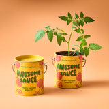COLOR GROW KIT: BADA BLOOM SUNFLOWER