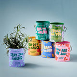 COLOR GROW KIT: BADA BLOOM SUNFLOWER