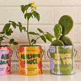 COLOR GROW KIT: BADA BLOOM SUNFLOWER