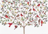 BOXED CHRISTMAS CARD CARDINALS