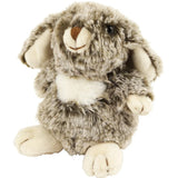 HUG A BUNNY KIT