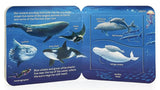 PEEK A FLAP OCEAN BOARD BOOK