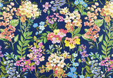 BOXED NOTE CARDS MEADOW BLOSSOMS
