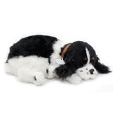 Original Cocker Spaniel Perfect Petzzz