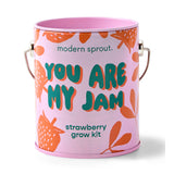 COLOR GROW KIT: BADA BLOOM SUNFLOWER