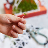 OUT OF THIS WORLD: MICROGREENS DIY KIT