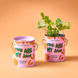 COLOR GROW KIT: BADA BLOOM SUNFLOWER