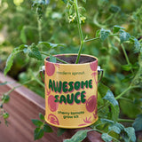 COLOR GROW KIT: BADA BLOOM SUNFLOWER