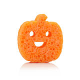 SPONGELLE' PUMPKIN SPICE BODY WASH BUFFER