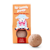 SEED BALL BUNNY