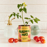 COLOR GROW KIT: BADA BLOOM SUNFLOWER